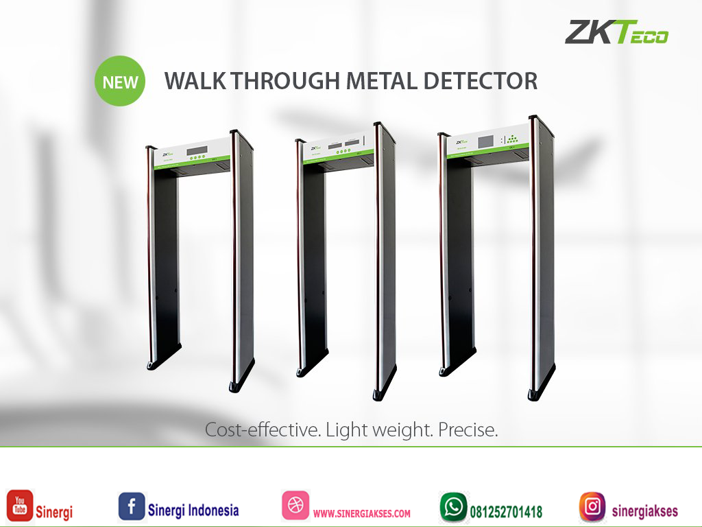 Walkthrough Metal Detector Image